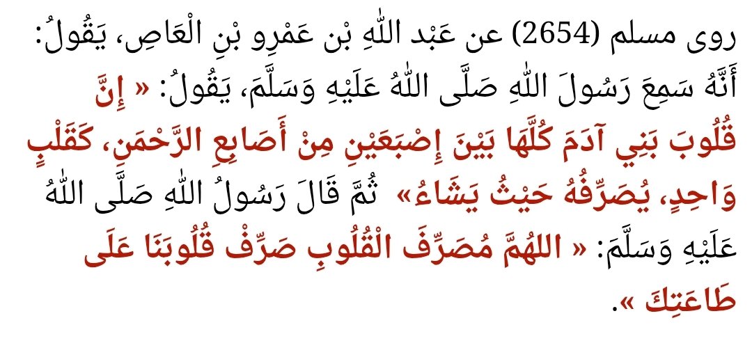 MSrtwx's tweet photo. @AbdulrhmanExp @wbtqh53273 تعرف مَن كان يخاف من الشرك، مَن كانت مكانته أعلى منك. فهل هناك من يأمن الشرك بعد إبراهيم عليه السلام، أم رسول الله صلى الله عليه وسلم عندما قال:
«اللهم إني أعوذ بك أن أشرك بك وأنا أعلم، وأستغفرك لما لا أعلم»؟
هناك من الشرك ما تعلم، وما لا تعلم.
ولا تتكلم كانك تملك ايمانك https://t.co/cMg4AuYtKa