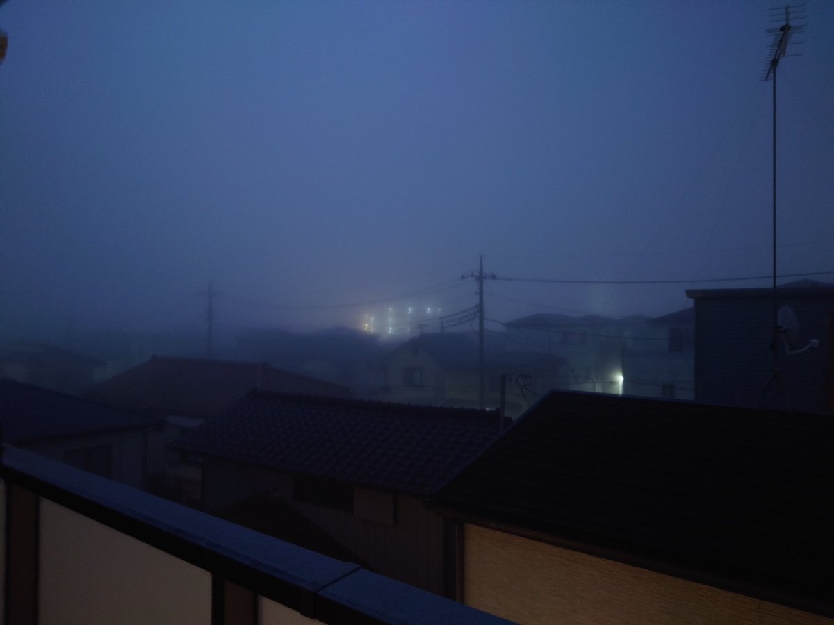 ゴミ出しに出たら凄い濃霧だった。
#さいたま市