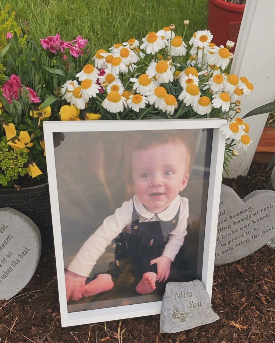 conordisco tweet media