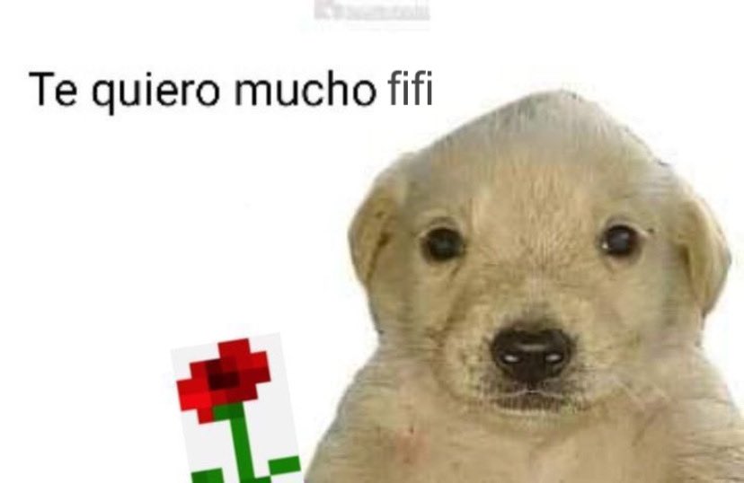 jovencrimen's tweet photo. @fifimzn @pekepeipo https://t.co/3niFDDtieF
