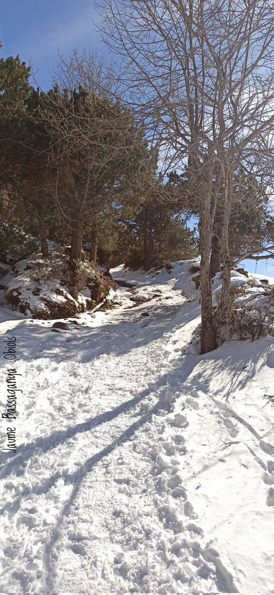 JaumeBassObiols's tweet photo. Molt bona nit a tothom!!!
#CamídelObacdIncles #ValldIncles #Incles #Canillo #Andorra
#JaumeBassaganya30032025 https://t.co/i1vpTueHOU