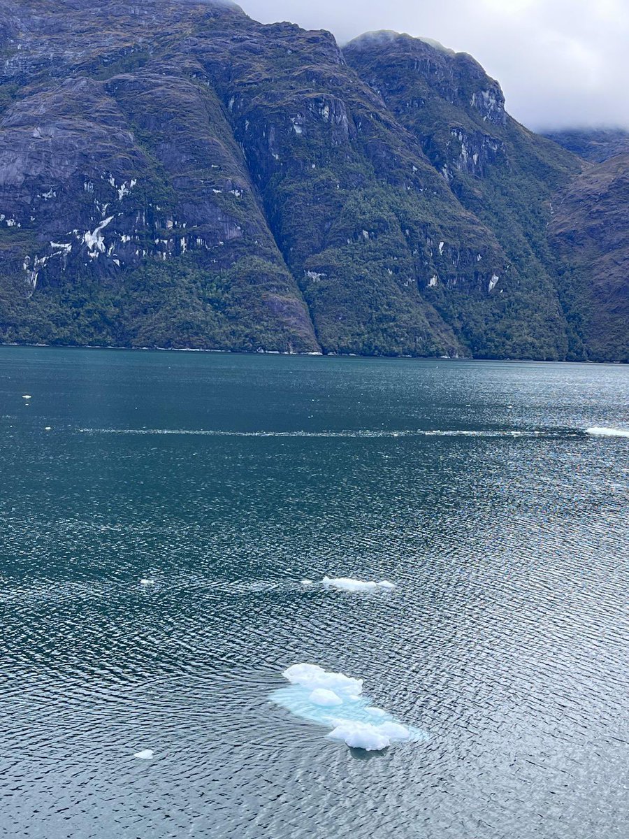 MiradASDeSanz's tweet image. Al igual que en su día hiciera @alejandrosanz en el #Ártico, nuestra FaM @fatimatrinida10, se desplazó hasta el Glacial #PíoXII 🇨🇱 para ser testigo directo del deshielo que padecen nuestros glaciales, haciéndonos conscientes de que este es nuestro único planeta-hogar💔
@LFdCesmas
