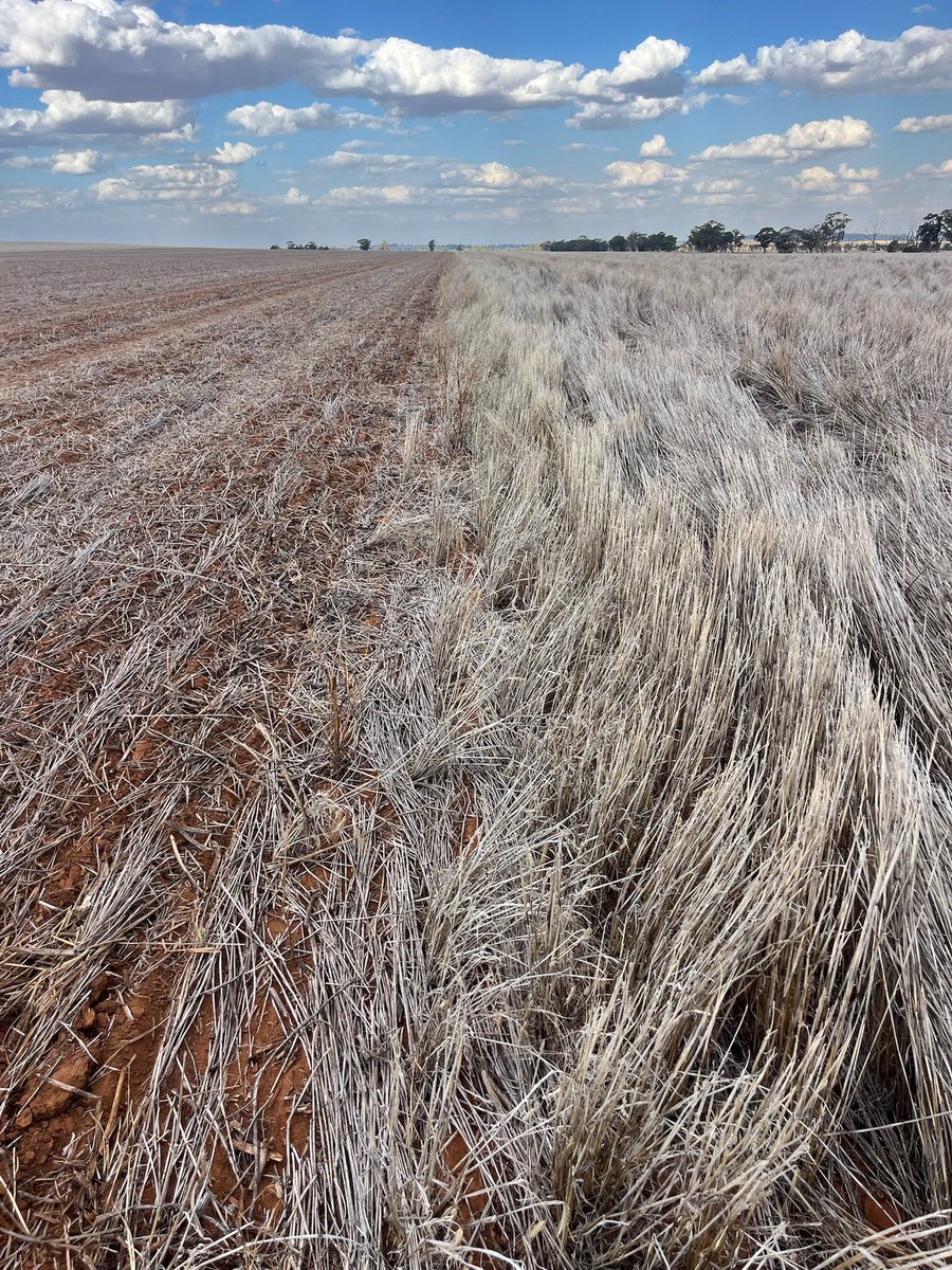 Grassroots Agronomy tweet media