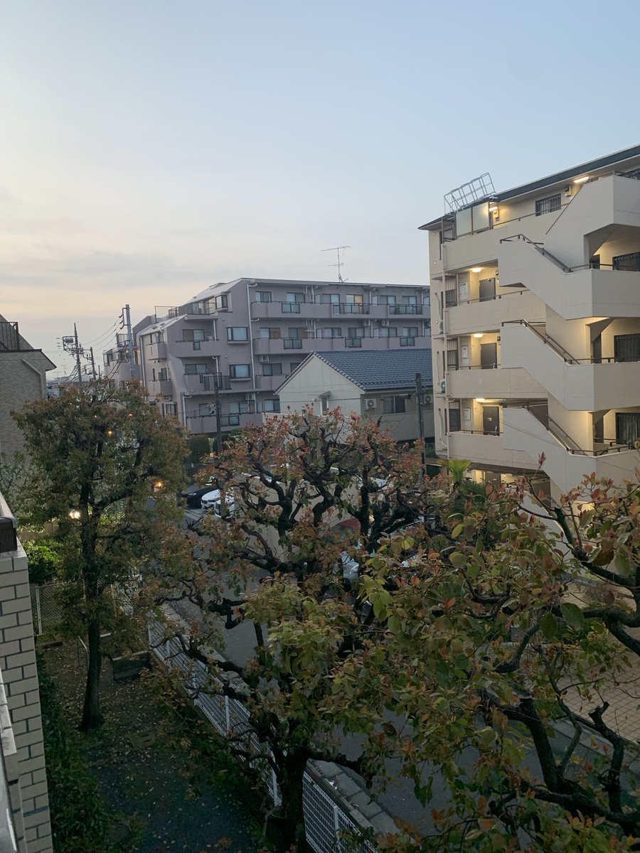 おはようございます。今日は久しぶりに晴れるとか。免許の更新してこようかなぁ。