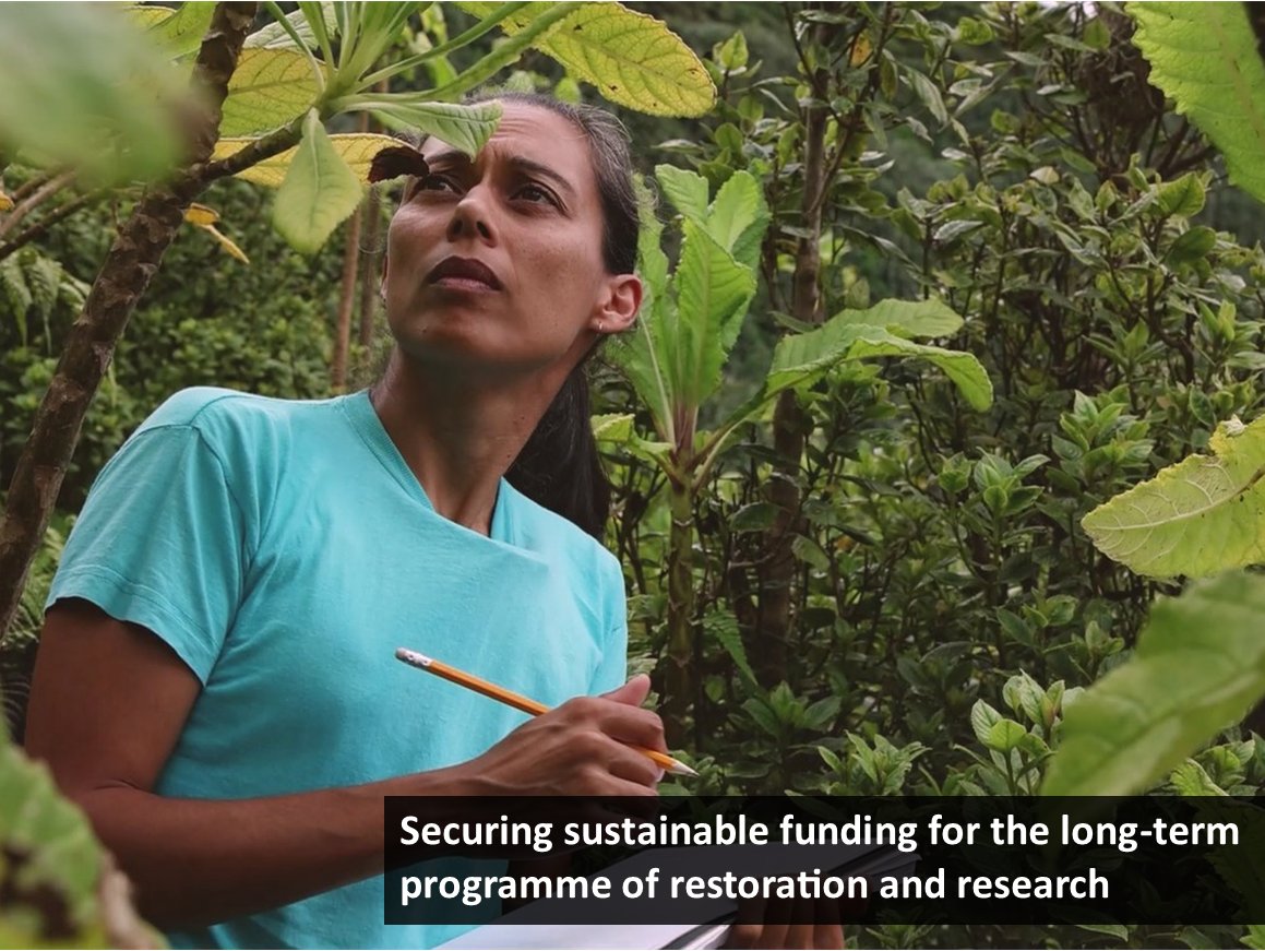 During four years of the St Helena Cloud Forest Project, we have encountered challenges which have affected areas of the project ⚠️🌳 Some of the main challenges we have had to tackle included ⬇️📷 #SHCFP