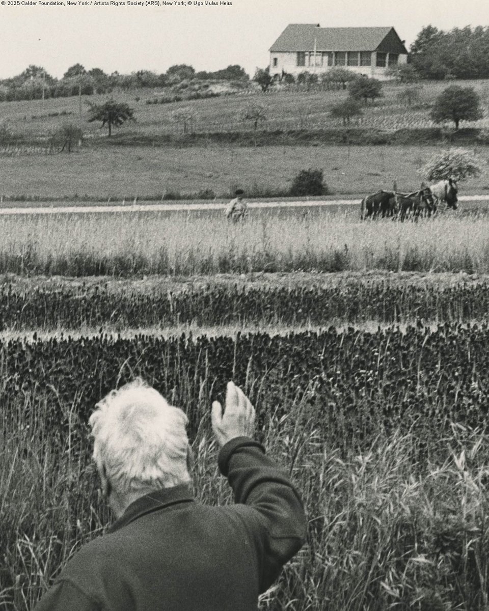 Calder Foundation tweet media