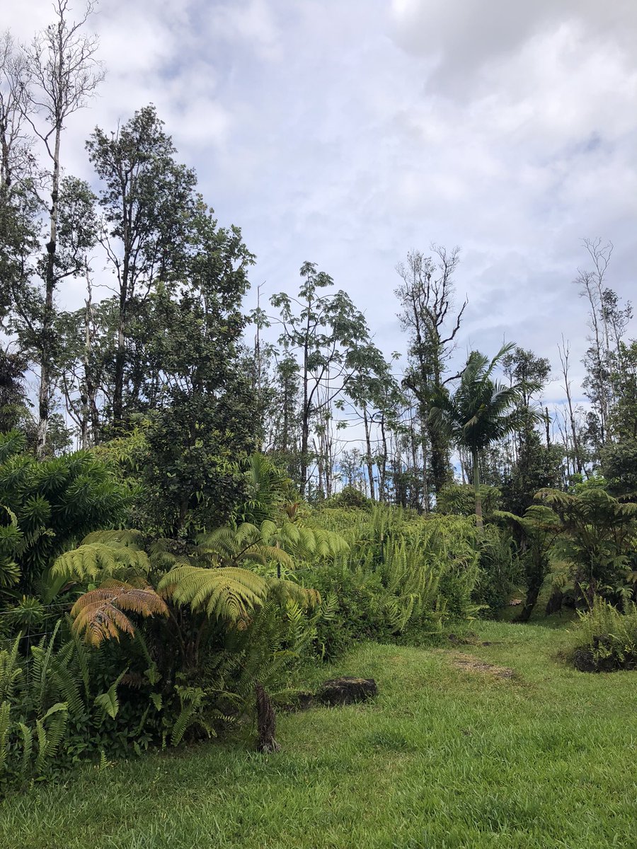 _uephie's tweet photo. aloha from hawaii :D https://t.co/ZCLORrBVVC