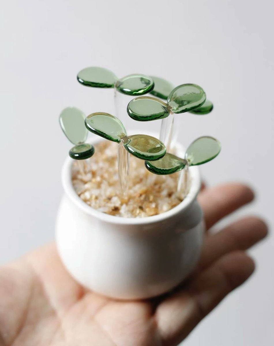 fuwa_shop's tweet photo. ガラスでできた観葉植物がかわいい…（詳細はスレッドへ🌵） https://t.co/h730vhRUoj