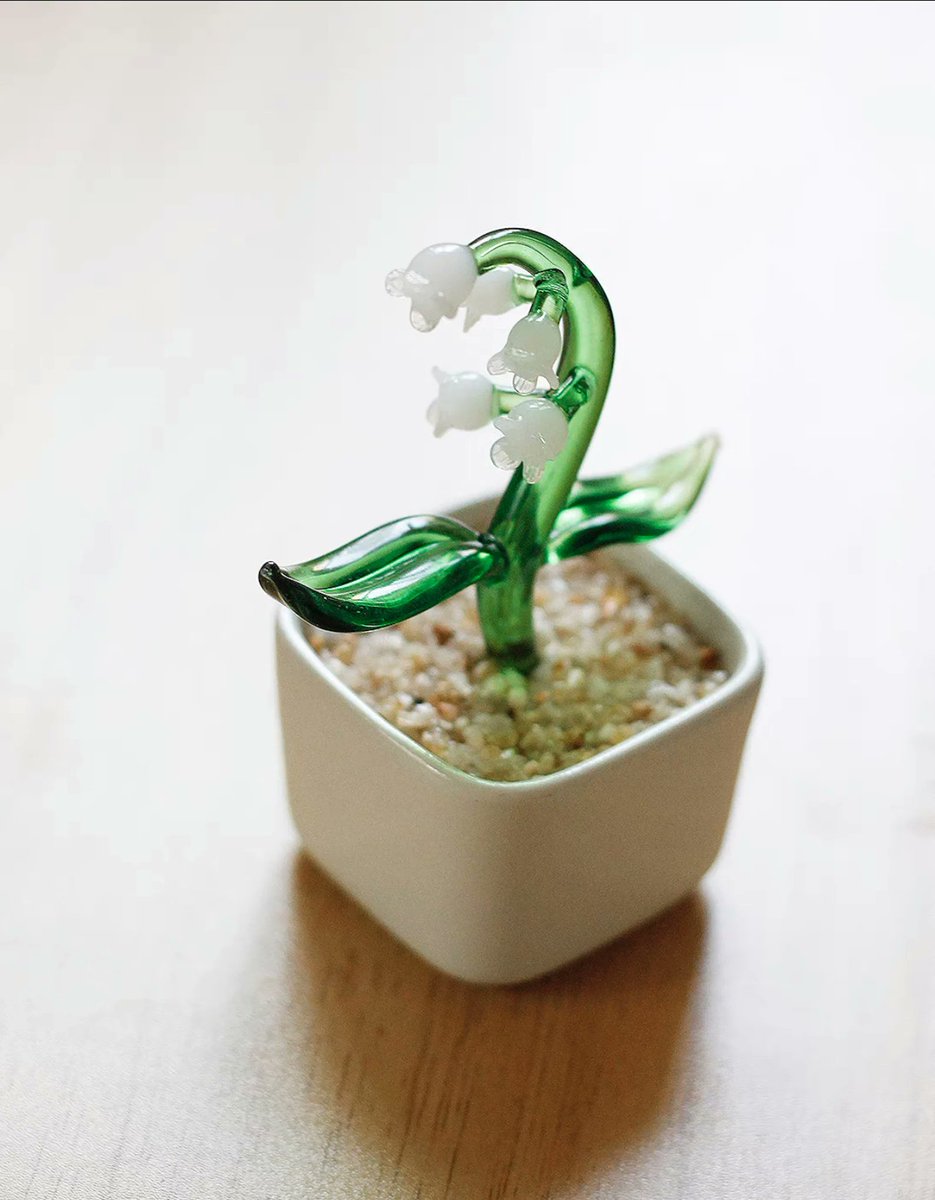 fuwa_shop's tweet photo. ガラスでできた観葉植物がかわいい…（詳細はスレッドへ🌵） https://t.co/h730vhRUoj