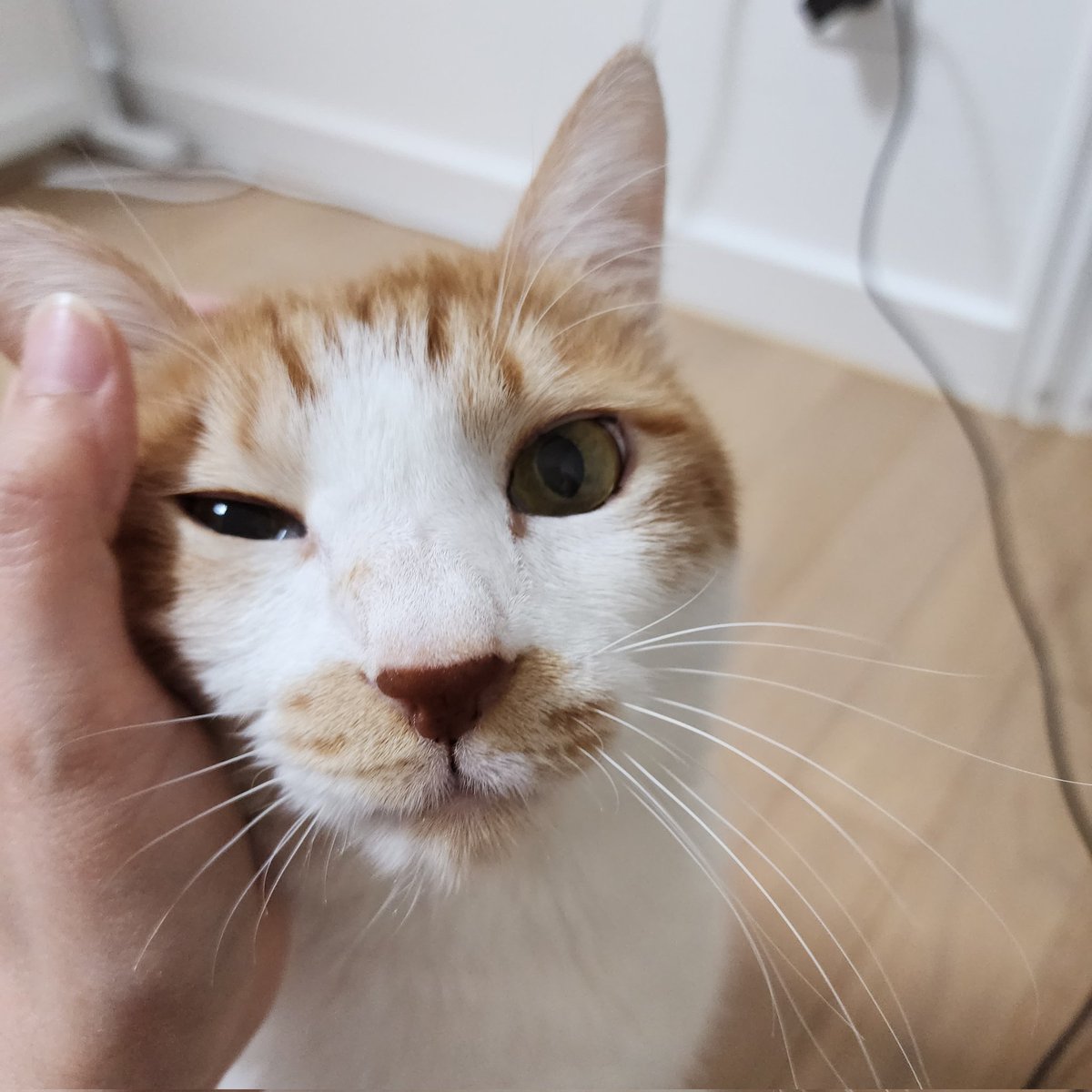 잘 될거야, 그치? 나 너무 떨려...