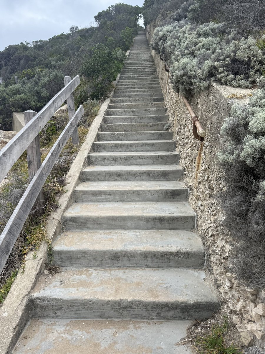 Stephanie ♡ tweet media