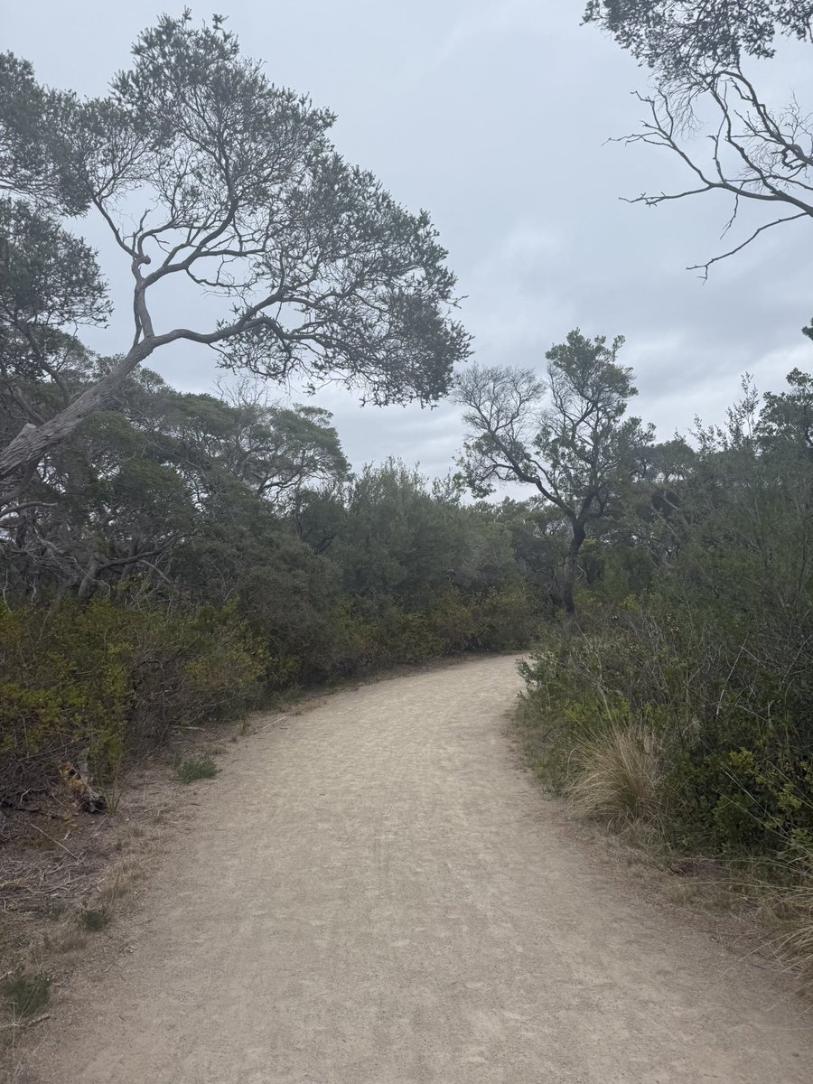 Stephanie ♡ tweet media