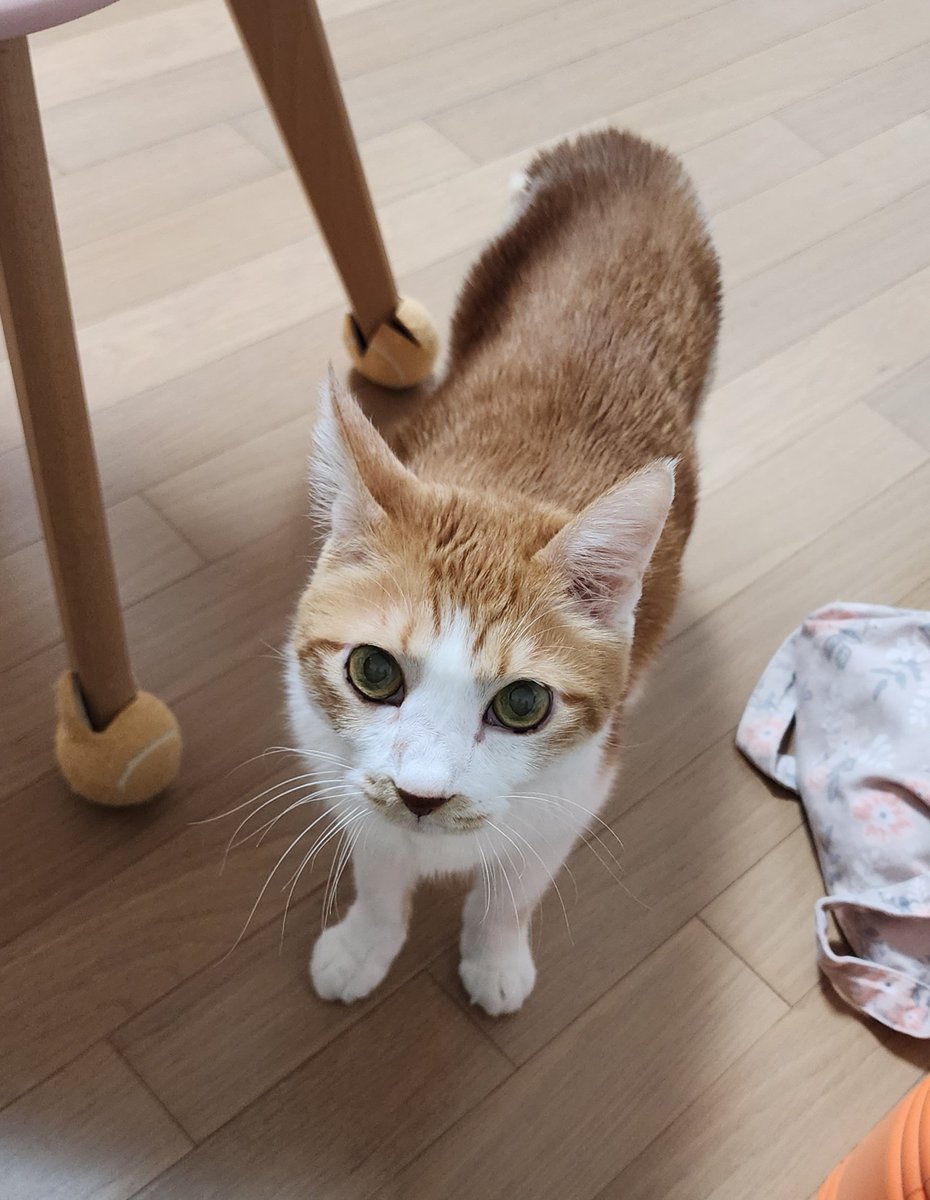 당연하다옹 엄마! 🐱