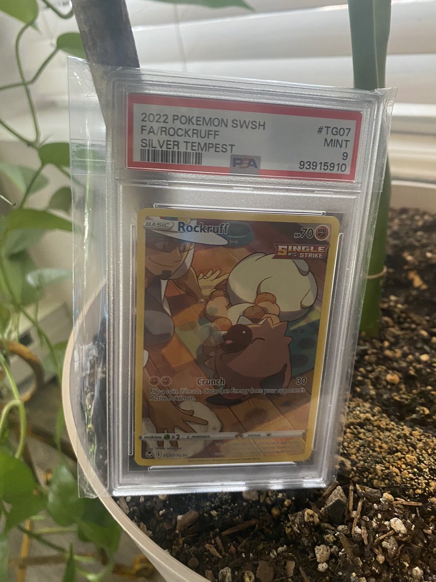 HumbertCrypto's tweet photo. 🚨Pokémon PSA slab Giveaway🚨 

Rockruff @PSAcard 9
Silver Tempest

Must:
1. Like
2. Retweet
3. Follow Me

Good Luck Trainers! 
Gotta Catch Them All!

#PokemonTCG #TheHobby
@CardPurchaser @DeepPocketMnstr https://t.co/7FFiPU4QoO