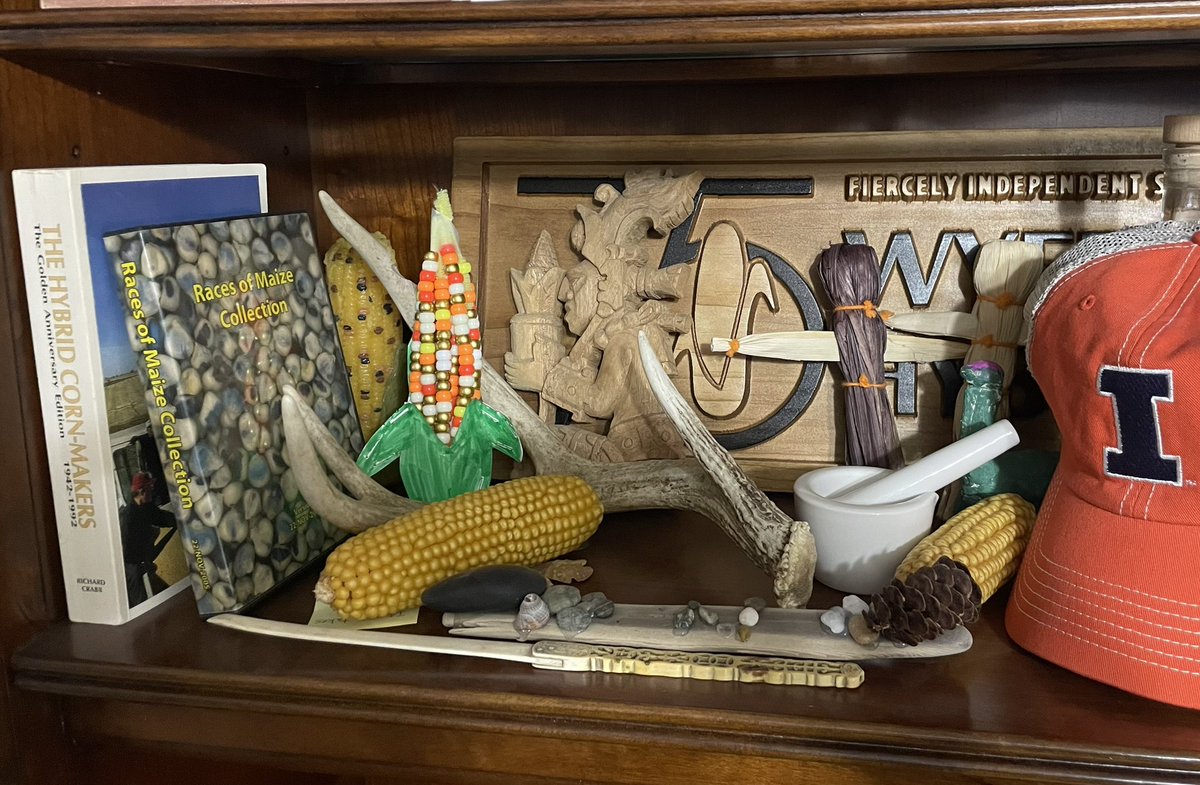 The best gifts are the homemade child crafts. This life sized beaded corn ear from my 10yo is a perfect addition to the corn shrine in my office.