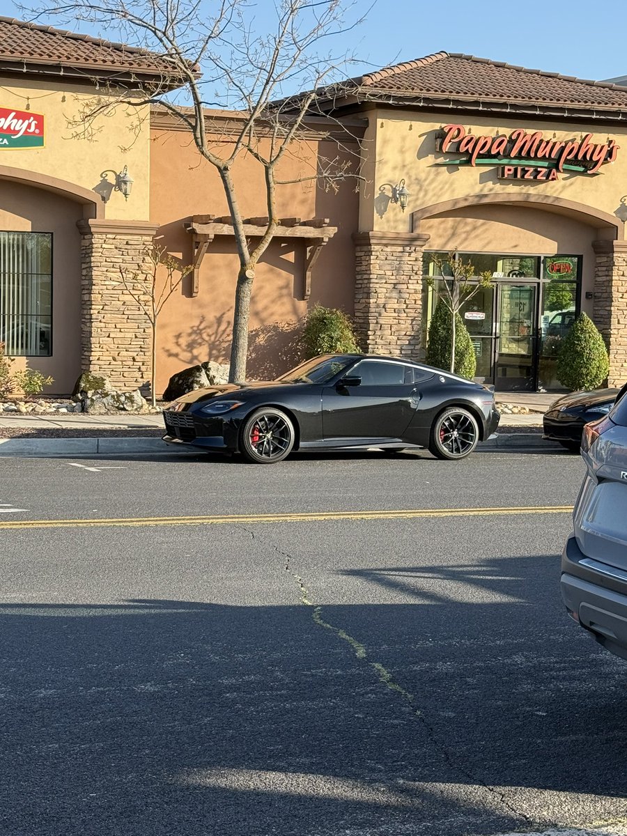 First time seeing a Z in the wild