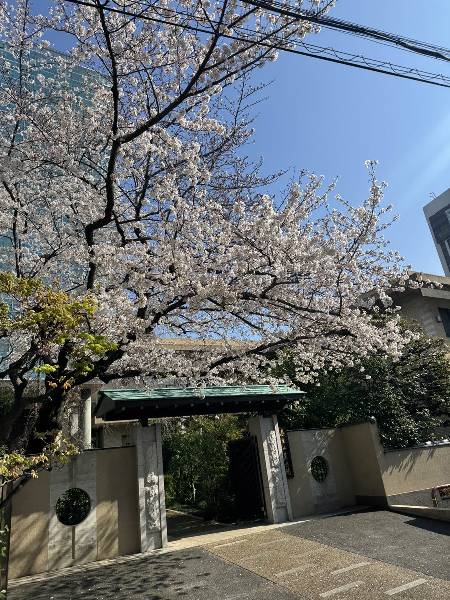 ramen_samurai0's tweet photo. おはよう御座います。

らーめんサムライ
11:00〜15:00(L.O.14:45)
17:00〜21:00(L.O.20:30)
オープンです！

皆様のご来店お待ちしております🍜

#らーめん　#ラーメン　#ラーメン好きなひとと繋がりたい　
#上野ラーメン　#浅草ラーメン　#入谷ラーメン　　
#らーめんサムライ 
#サムライイートイン https://t.co/u50QdiYp40