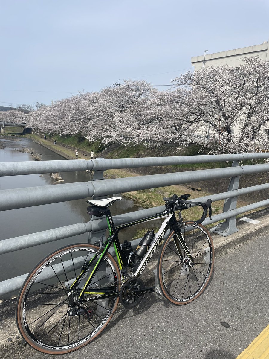04trackandfeild's tweet photo. スプリント力も鍛えないとな
ベースもスキルもまだまだ強化出来る事だらけ=成長しかない💪 https://t.co/enITJ6Wyj0