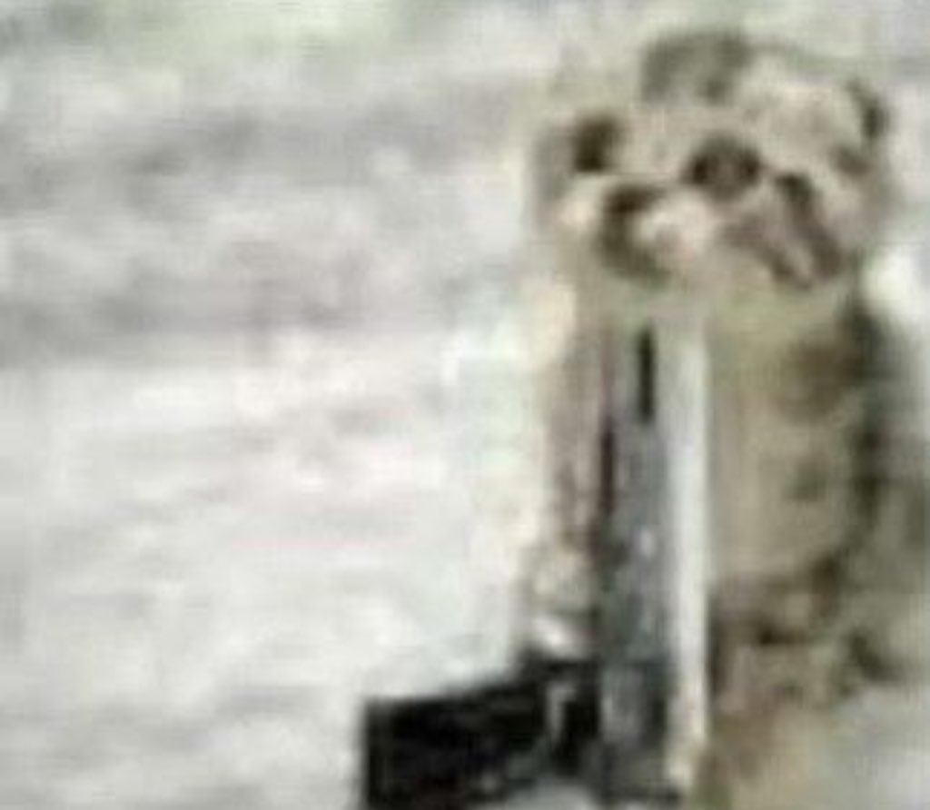 باقي يوم على الدوام