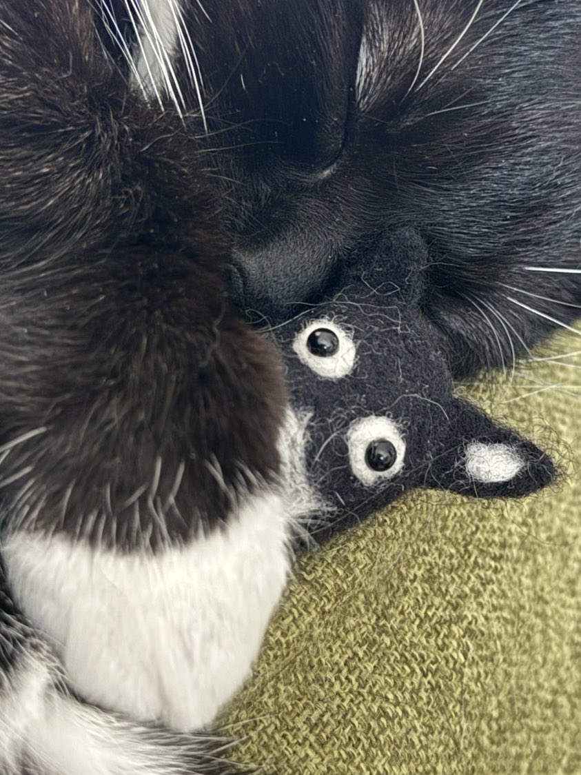 I'm Uni :3 tweet media