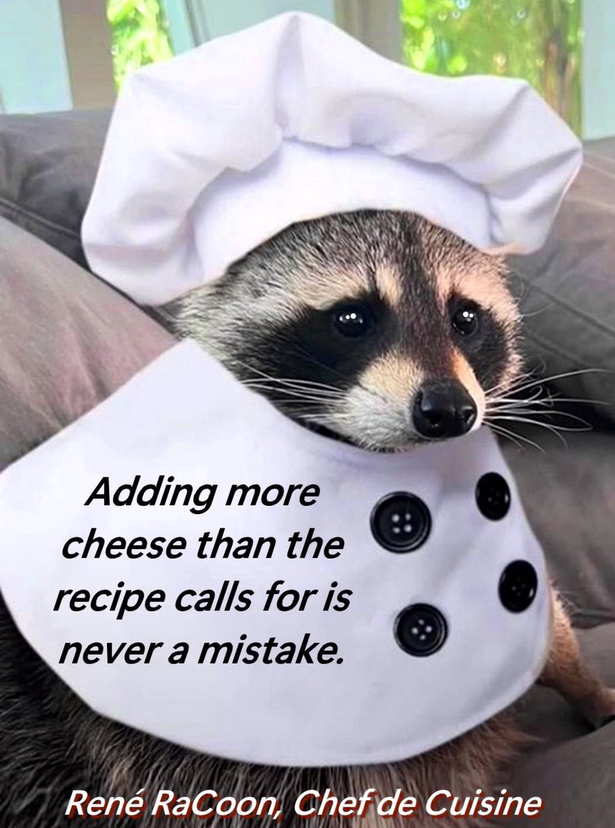 Respectful Memes tweet media