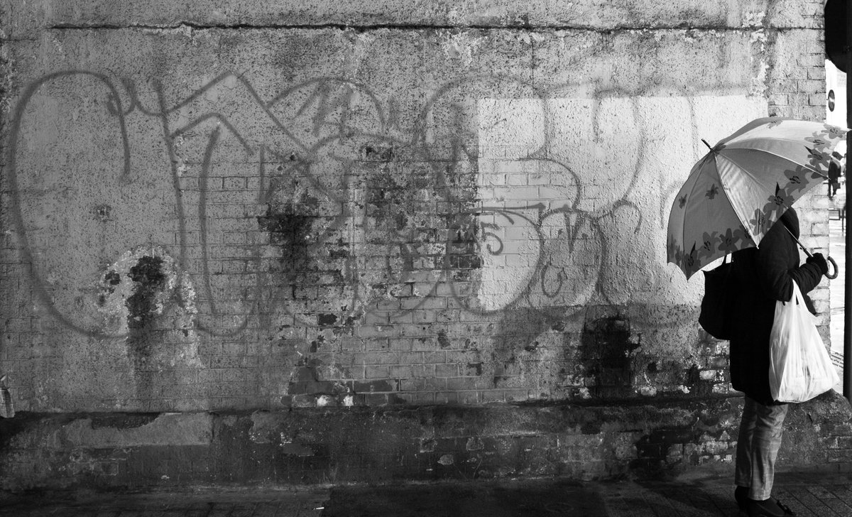 s_a_pompom's tweet image. 