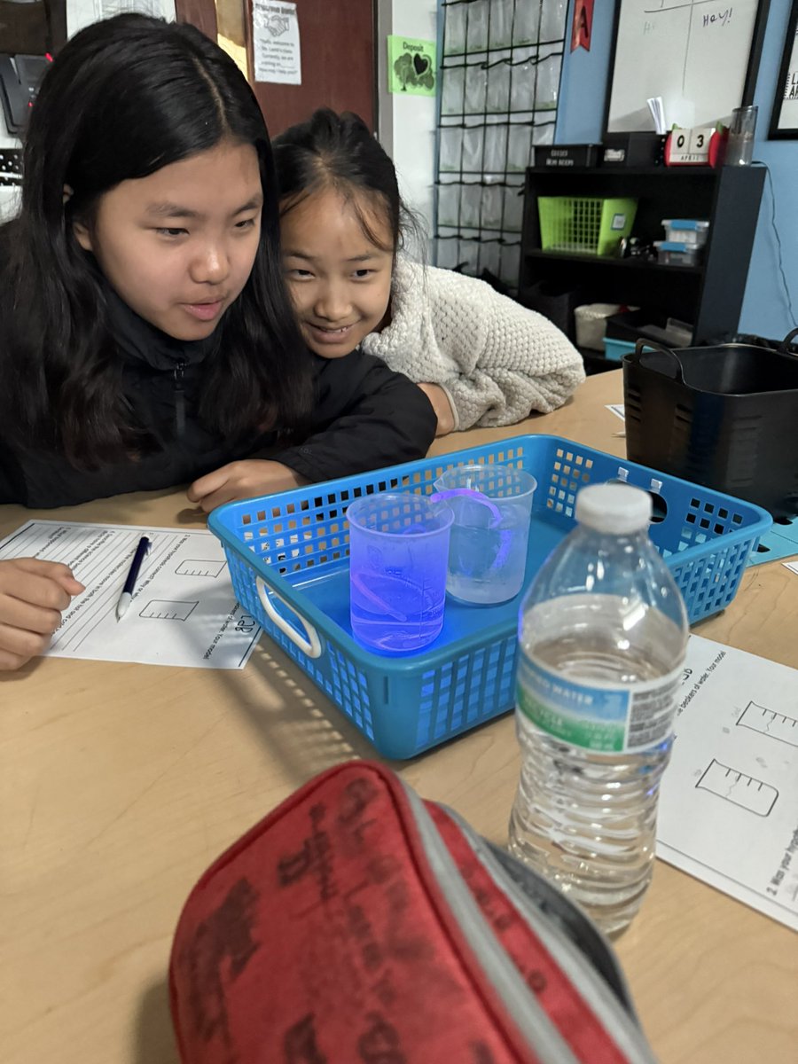 Molly Lamb tweet media