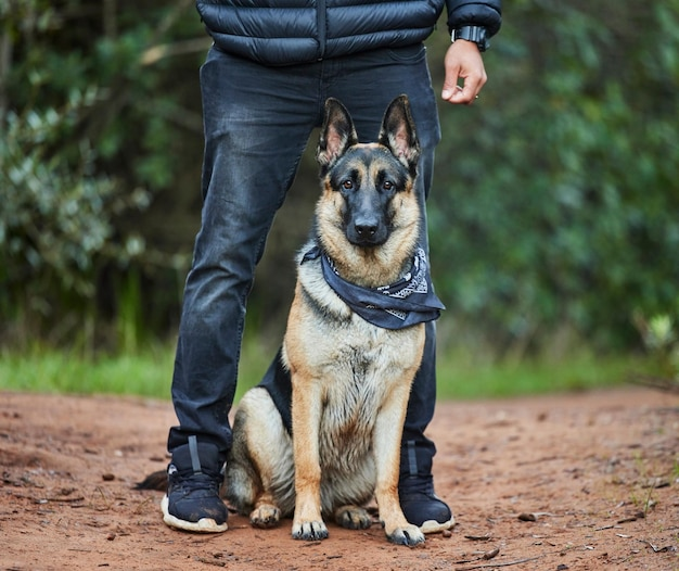 ArmorK9's tweet photo. Transform your dog with our expert police K9 training! Build obedience, confidence, and exceptional skills. Personalized plans for every dog. #armork9 #professionaldogtrainer #professionaldogtraining #obedience #boardandtrain #privatetraining #personalprotectiondogs https://t.co/FpYJ7BW6Ge
