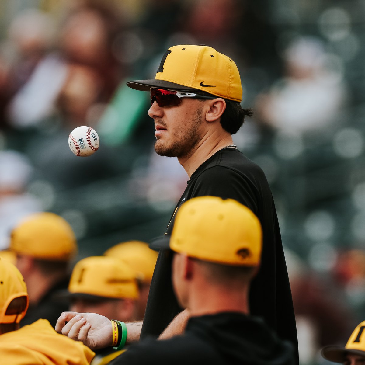 Iowa Baseball Managers tweet media