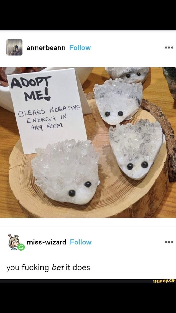 no context memes (@weirddalle) on Twitter photo 