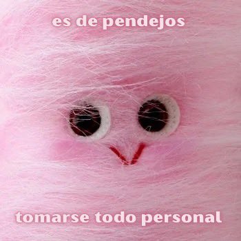 conoloracigarro's tweet photo. https://t.co/d36c1bbagB