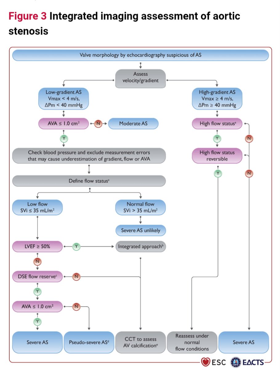 High vs Low gradient severe Aortic Stenosis approach 

Check Gradient &amp; Flow status:
●LOW flow,LOW gradient: 
EF&lt;50%:DSE to assess Flow Reserve 
EF&gt;=50%:CCT to assess AV calcification 
CCT also if no Flow reserve after DSE
●Exclude HIGH flow status in HIGH gradient AS