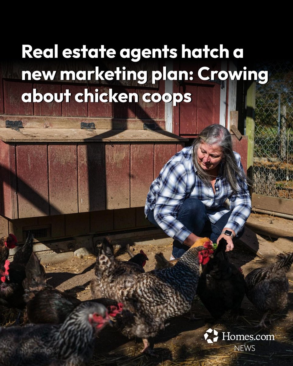 CoStarNews's tweet image. 🐔 🥚 As egg prices soar, #realestate listings increasingly highlight backyard #chickencoops as a selling point, with henhouse-related verbiage rising 78% between 2020 and 2025, according to a @HomesDotCom analysis.

Learn more here: bit.ly/3R3A1YC