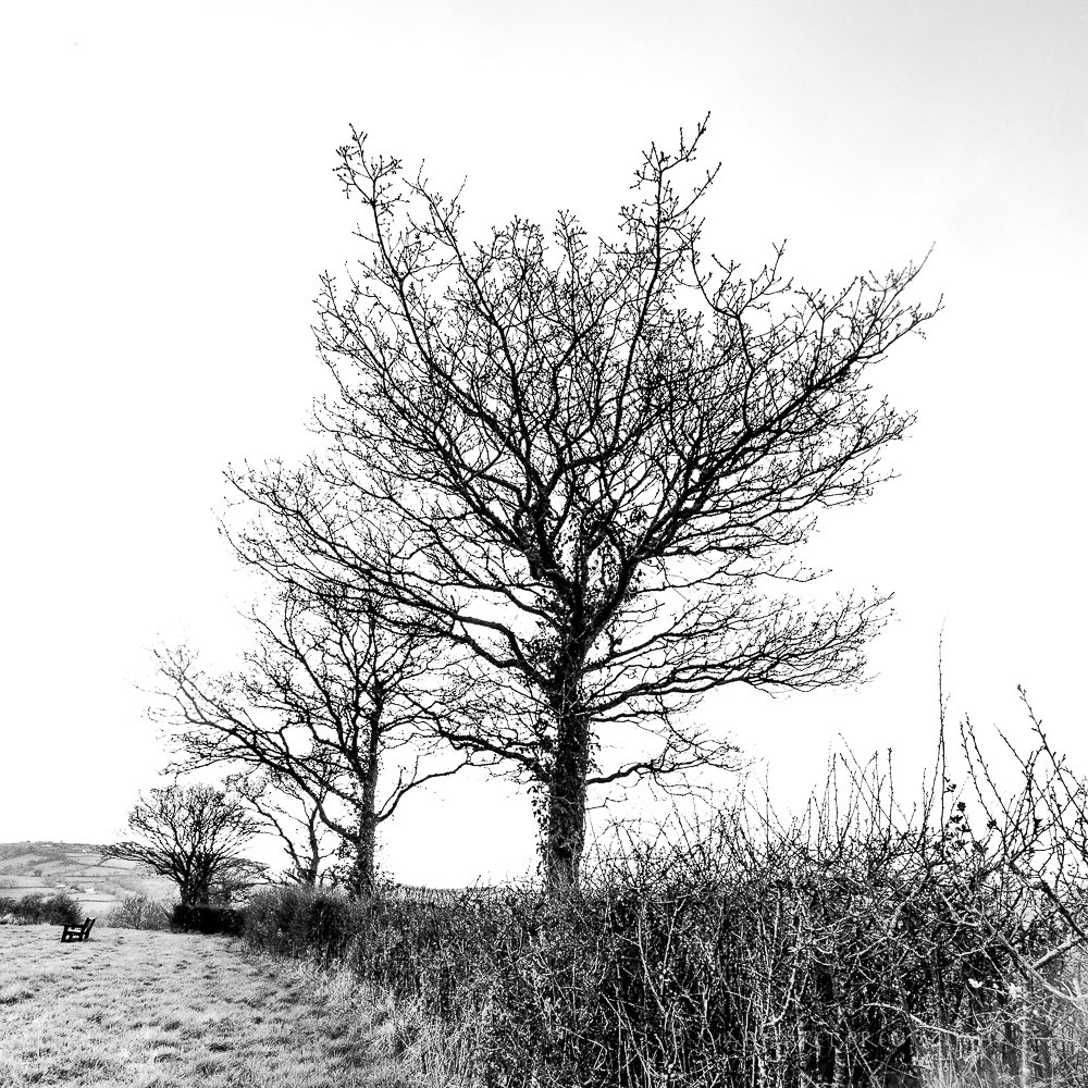 Rev. Margaret P-H tweet media