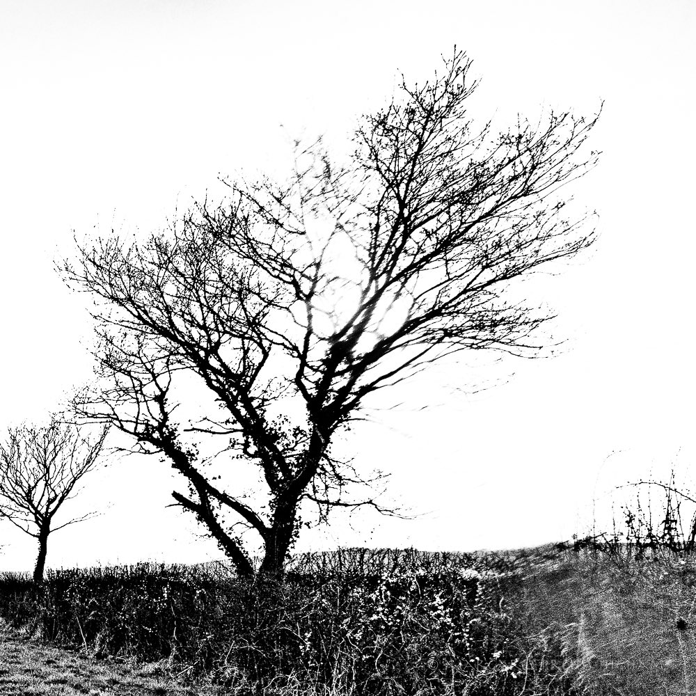 Rev. Margaret P-H tweet media