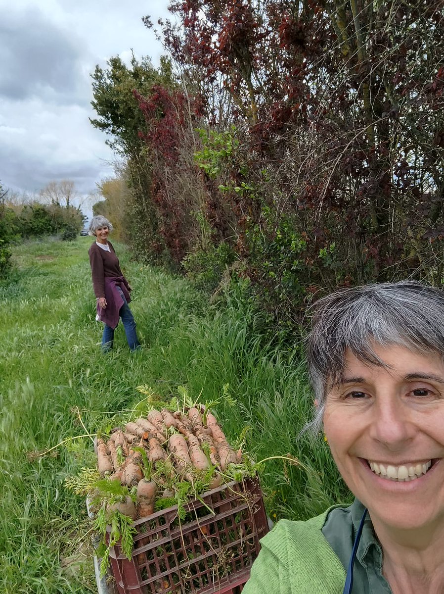 Nova entrada al blog: Mercè i Mireia
escabetxart.wordpress.com/2025/04/03/mer…