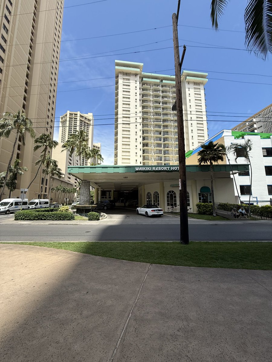 Hello little bird 🥹