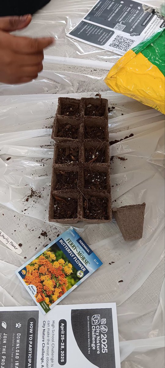 Family Engagement (@holmesfamilies) on Twitter photo The Holmes Gardening Club Paws & Petals met today to kick off indoor seedling prep! These future blooms will soon brighten up our campus when ready to plant outdoors. Big thanks to our green-thumbed students for making Holmes beautiful
<a href="/NISD/">Northside ISD</a>
<a href="/NISDHolmes/">NISD Holmes</a>
<a href="/nisd_nsite/">nisd_nsite</a>
<a href="/HGUEVARAJR/">Homer Guevara, Jr., Ed.D.</a> The Holmes Gardening Club Paws & Petals met today to kick off indoor seedling prep! These future blooms will soon brighten up our campus when ready to plant outdoors. Big thanks to our green-thumbed students for making Holmes beautiful
<a href="/NISD/">Northside ISD</a>
<a href="/NISDHolmes/">NISD Holmes</a>
<a href="/nisd_nsite/">nisd_nsite</a>
<a href="/HGUEVARAJR/">Homer Guevara, Jr., Ed.D.</a>