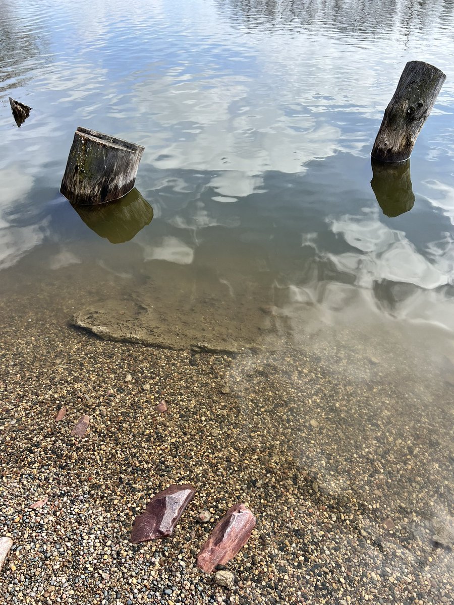 AngelaTague's tweet photo. Archie and I just got home from a nice walk at Prairie Park. We noticed lots of erosion along the far side of the lake! Caused by winter/spring thaw maybe? 🤷♀️
#CupcakesAndYogaPants #GetOutside #GoForAWalk https://t.co/ND38FexJxr