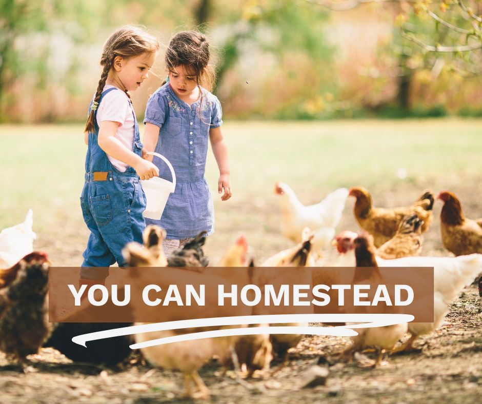 SteaderApp's tweet image. YOU CAN HOMESTEAD. It's true! From a few backyard chickens or a small garden, you can start whenever and wherever. Too often, we think homesteading means you need 10+ acres, a big garden, chickens, cows, and perfect, beautiful green pastures. Of course, all of that is wonderful,…