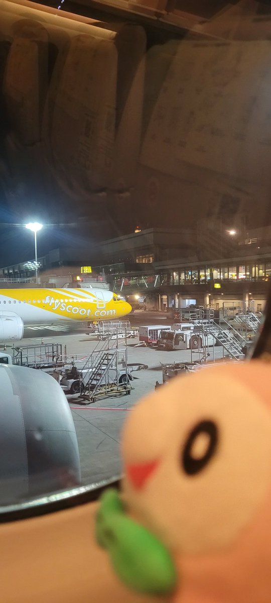 Citrontea @ tired in general tweet media