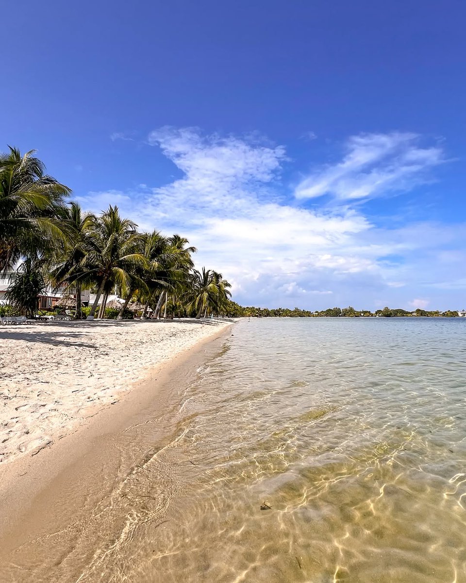 belizevacation's tweet photo. 🌴✨ Placencia is a burst of color, charm, and pure paradise! Stroll vibrant streets, soak in the island vibes, and let the magic unfold. 🌊🎨💙 #TravelBelize
📸: @xizzle88 https://t.co/Ir62HBBhT4
