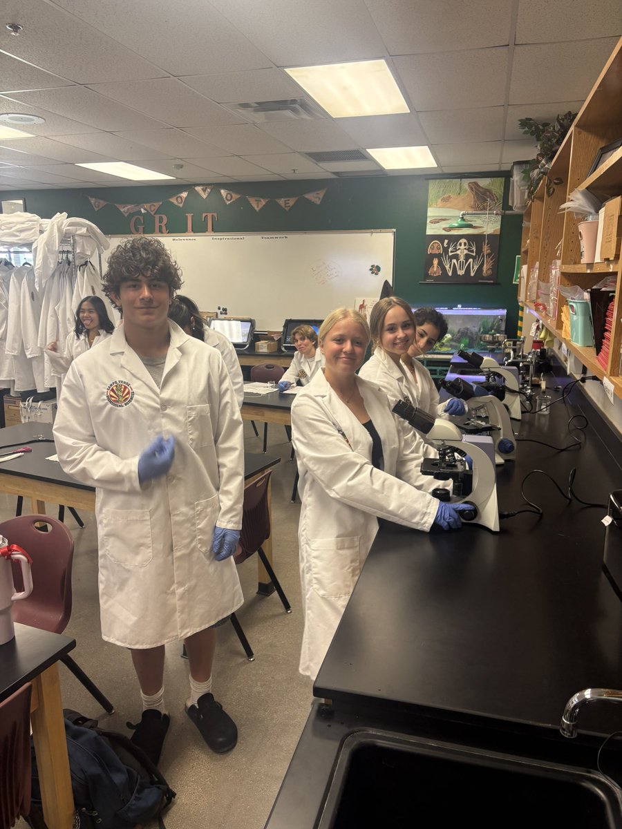 BlackburnAnatomy tweet media