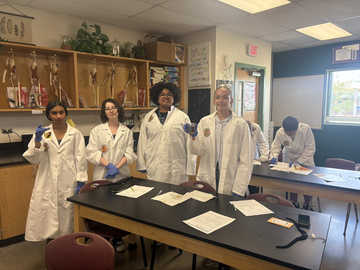 BlackburnAnatomy tweet media