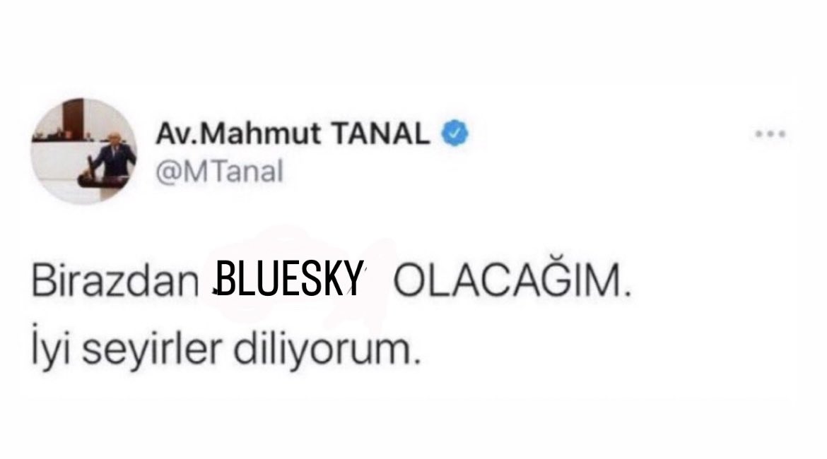 Rozerin (@rozeringuness) on Twitter photo 