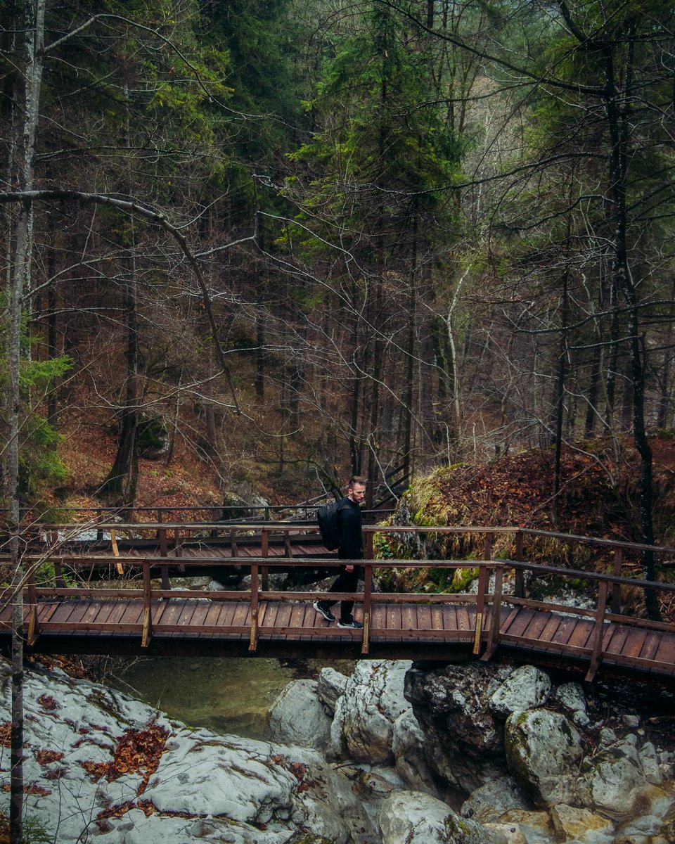 Unbound Merino tweet media