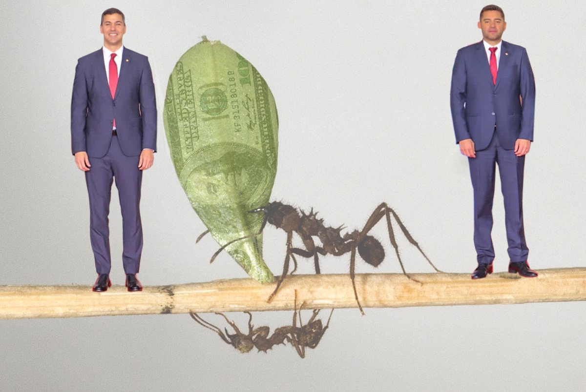 🔴EL AKEKÊ, YSAU, LA CIGARRA Y EL INVIERNO
#Editorial

◾Comúnmente denominadas hormigas cortadoras, hay una diferencia entre ambas; una de ellas es roja y la otra de un color más oscuro. 

◾El nombre científico del akekê es “Acromyrmex landolti fracticornis”, y el del ysau o