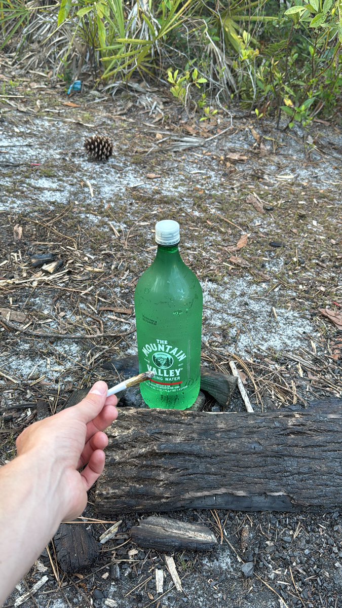 Jerry “Jer” Seinfeld tweet media