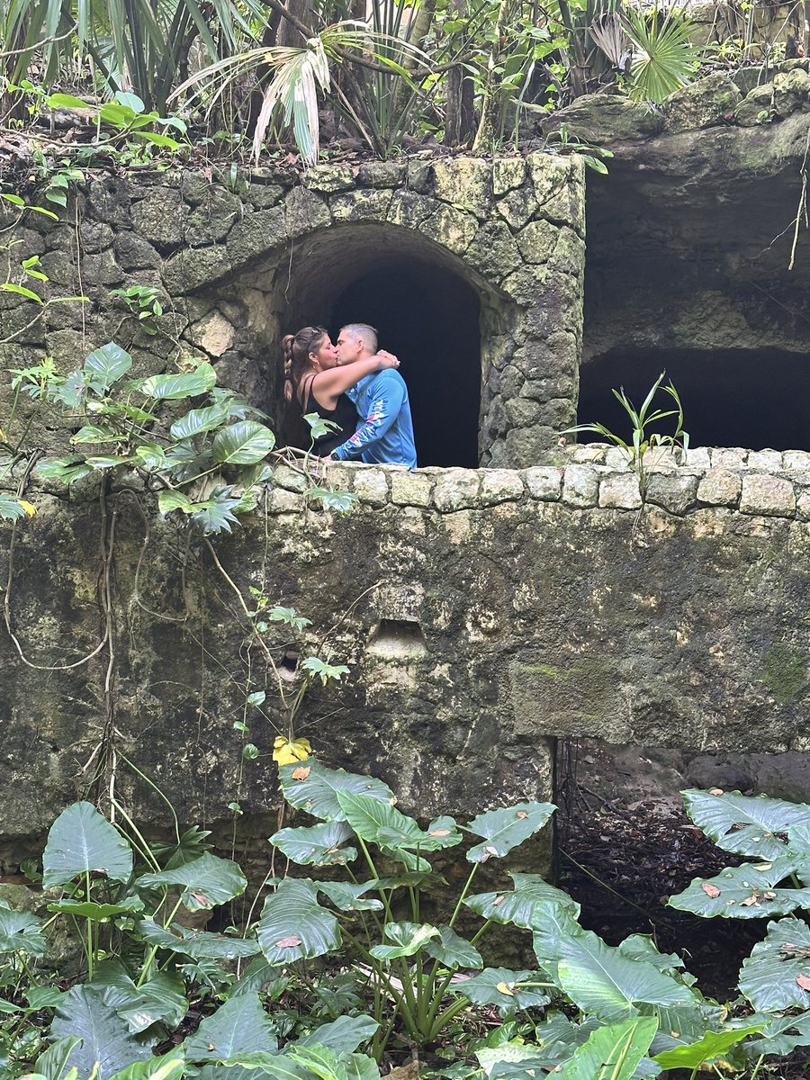 Ana Perez tweet media