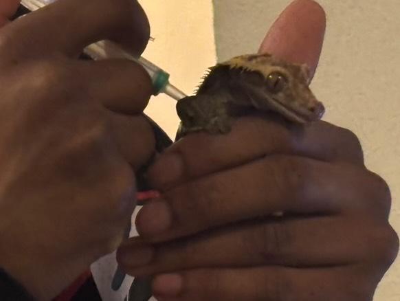 Supercharging my lizard.... Yall r not ready.....